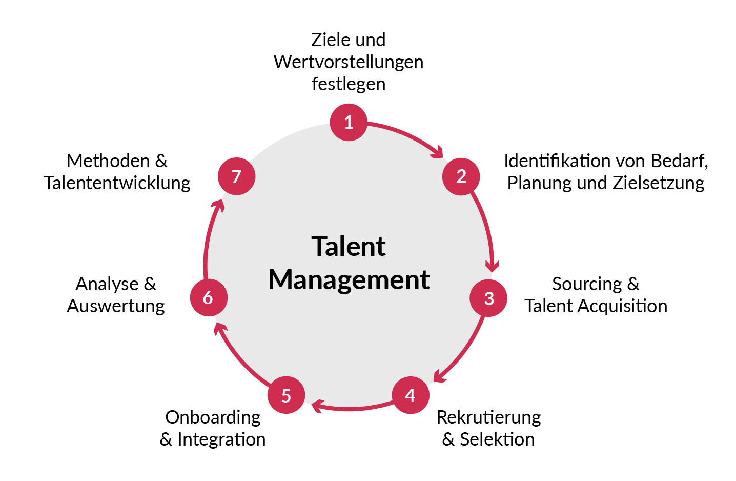 Grafische Darstellung der einzelnen Schritte im Talent Management.
