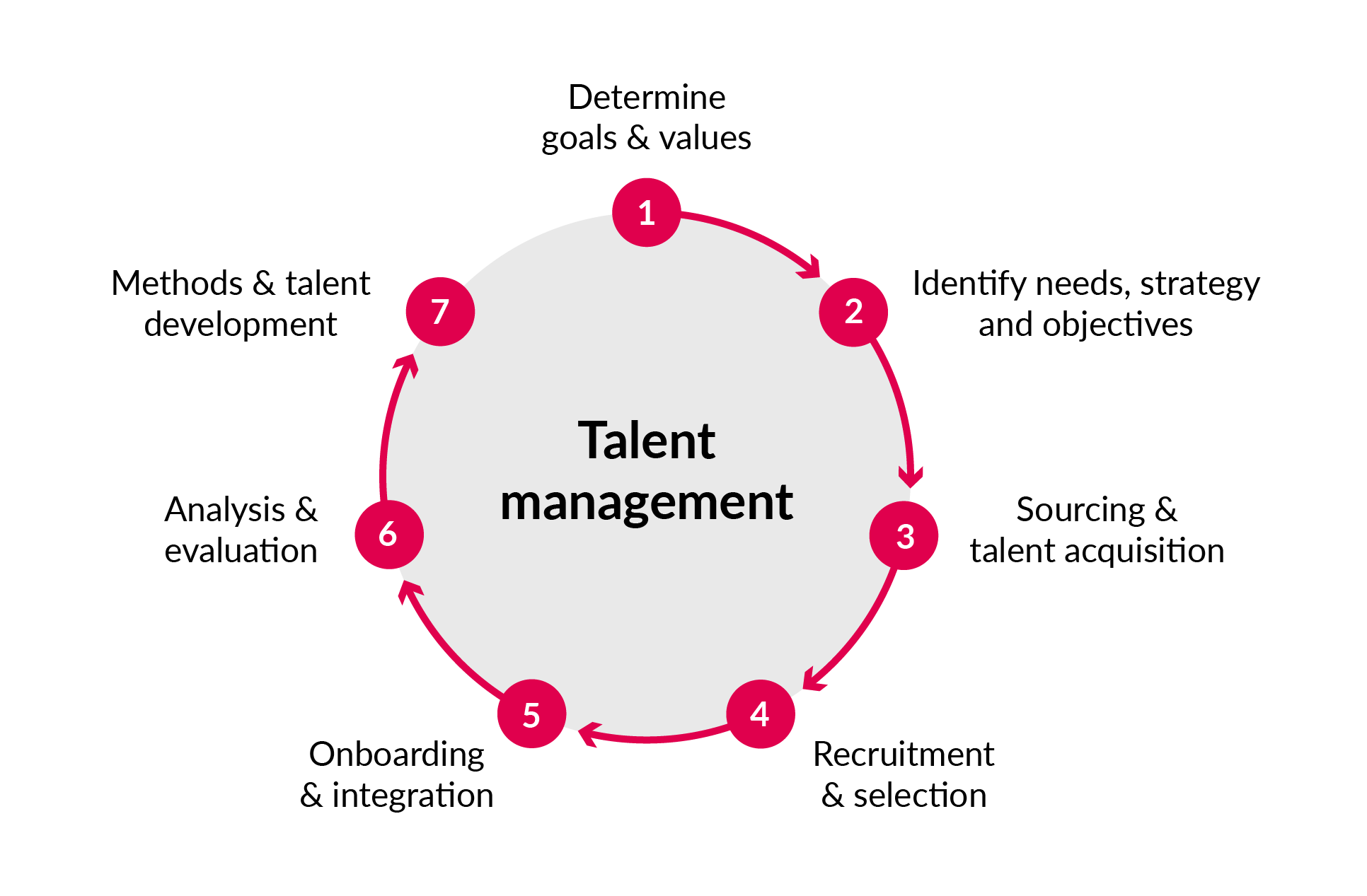 Graphic display of the individual steps of talent management