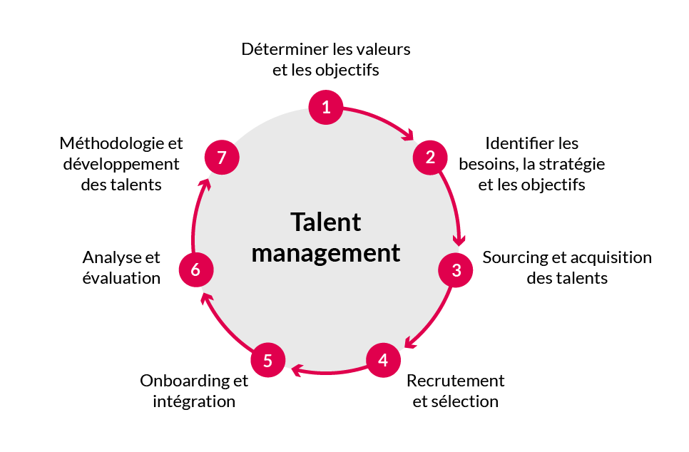 Représentation graphique des différentes étapes de la gestion des talents